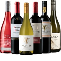 Ring of Wines - Chiles Bestseller 6x Entdeckerpaket