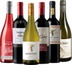 Ring of Wines - Chiles Bestseller 6x Entdeckerpaket 