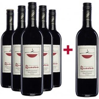 5+1 Paket Blaufränkisch classic Mittelburgenland DAC trocken - Grenzlandhof Weingut Familie Reumann