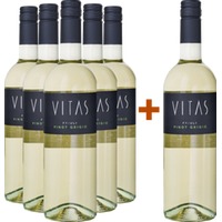 5+1 Pinot Grigio Friuli DOC - Villa Vitas