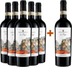 5+1 Paket La Fuga Chianti Rufina DOCG BIO - Borgo Macereto 