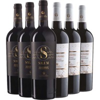 San Pancrazio Primitivo-Paket - Cantine San Pancrazio