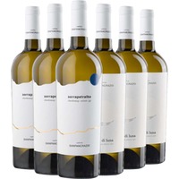 San Pancrazio Weißwein-Paket - Cantine San Pancrazio
