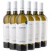 San Pancrazio Weißwein-Paket - Cantine San Pancrazio 