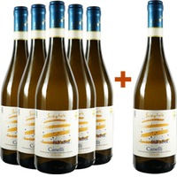 5+1 Paket Moscato SiFaSol Canelli DOCG - Scagliola Giacomo
