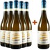 5+1 Paket Moscato SiFaSol Canelli DOCG - Scagliola Giacomo 