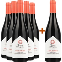 5+1 Paket Casal del Piano Rosso Piceno DOC - Tenuta dell'Ugolino