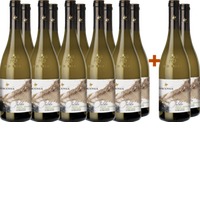 10+2 Paket Falde Insolia Viognier Carricante Terre Siciliane IGP - Cantine Nicosia