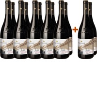 10+2 Paket Falde Nerello Mascalese Syrah Frappato Terre Siciliane IGP - Cantine Nicosia