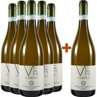5+1 Paket Le Barbatelle Verdicchio dei Castelli di Jesi DOC - Tenute Cesaroni