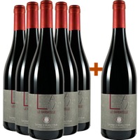 5+1 Paket Le Barbatelle Lacrima Morro D'alba DOC - Tenute Cesaroni