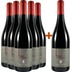 5+1 Paket Le Barbatelle Lacrima Morro D'alba DOC - Tenute Cesaroni 