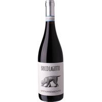 Bricco Lagotto: Barbera Passito DOC -