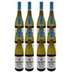 ALBA MARTIN ALBARINO RIAS BAIXAS 12er Paket 