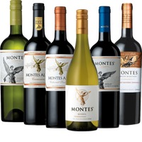 Chilenische Spitzenweine von Montes - 6x Winzerpaket