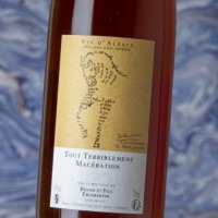 Philippe Brand Tout Terriblement Macération