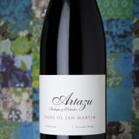 Artazu Pasos de San Martin