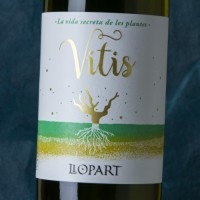 Llopart Vitis