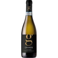 Malavasi Grande Lugana, Lugana DOC, Lombardei, 2025, Weißwein