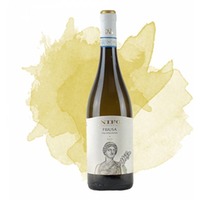 Falanghina del Sannio Fluusa Bio (Nifo Sarrapochiello)