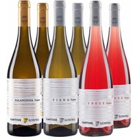 Cantine Losito Puglia Kennenlern-Paket BIO - Cantine Losito