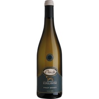 Eugenio Collavini Villa Canlungo Pinot Grigio Collio
