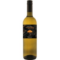 Grüner Veltliner DAC Parapluiberg - Weingut Steyrer