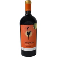 Ciconia Reserva Tinto Alentejano Relvas