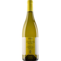 Santa Barbara Stefano Antonucci Bianco Castelli di Jesi DOC - - Marche, Italien