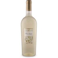 Linea Ulisse Selezione Pinot Grigio