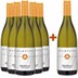5+1 Weinviertel DAC Ried Hausberg trocken - Weingut Martinshof 