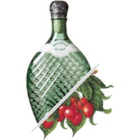 Rochelt Weichsel (Sauerkirsche) 2010