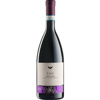 Lice Nebbiolo d'Alba DOC trocken - Vini Domanda