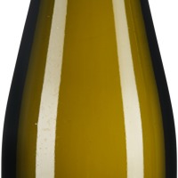 Grüner Veltliner Ried Antlasbergen