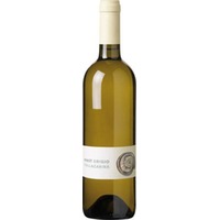 Pinot Grigio Vallagarina IGT