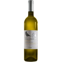 Pecorino IGT Colli Aprutini