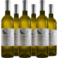 Pecorino IGT Colli Aprutini