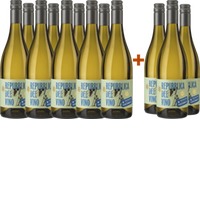 Repubblica del Vino Falerio DOC Kennenlern-Paket - Cantina Villa Pigna