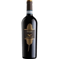Ripasso della Valpolicella classico superiore DOC Piuma - Campagnola