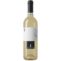 Pinot Bianco IGT Marca Trevigiana Casa Baccichetto