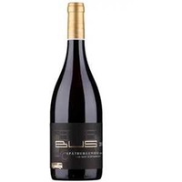 BUS Spätburgunder Pfalz