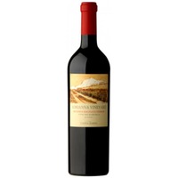 Magnum - Adrianna Vineyard Mundus Bacillus Terrae - Catena Zapata