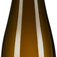 Riesling Glanz & Gloria Kamptal