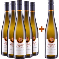 5+1 Paket Gelber Muskateller trocken BIO - Pröglhöf