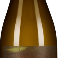 Sauvignon Blanc Schiefer Südsteiermark