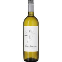 Pinot Grigio Delle Venezie DOC