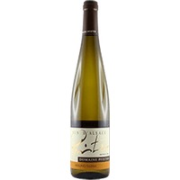 Mélanie Pfister : Riesling Tradition