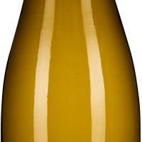 Grüner Veltliner im Klee