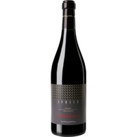 Vite Colte Piemonte DOC Rosso Passito Spasso - - Piemont, Italien