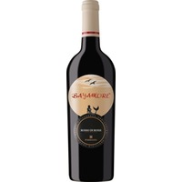 Bayamore Rosso di Rossi Sicilia DOC